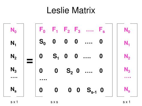 These two matrices help us to discover that how the population structure changes with. . Leslie matrix calculator